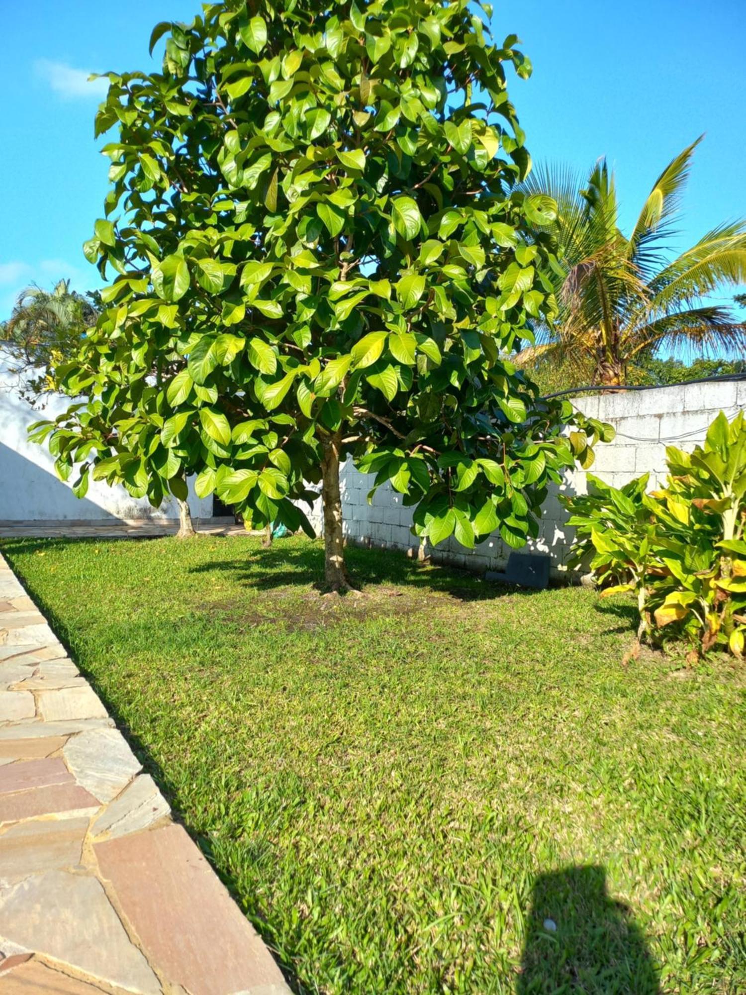 Chacara Sitio Casa Peruibe Praia Exterior foto